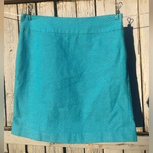 Banana Republic Women’s Blue Skirt size 0